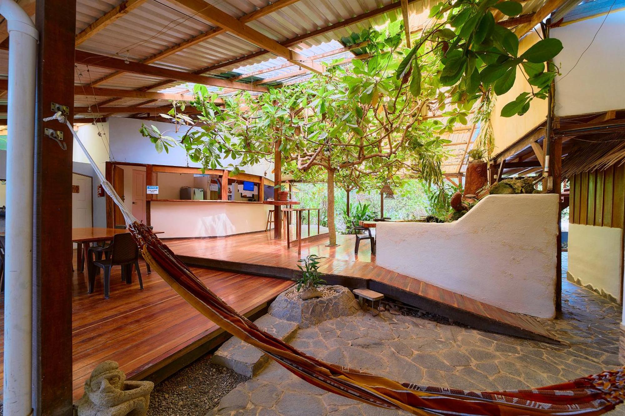 Cabinas Montesol Puerto Viejo de Talamanca Exteriér fotografie